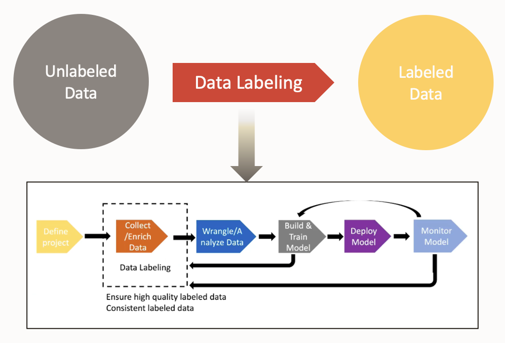 Data Labeling 예시 #1